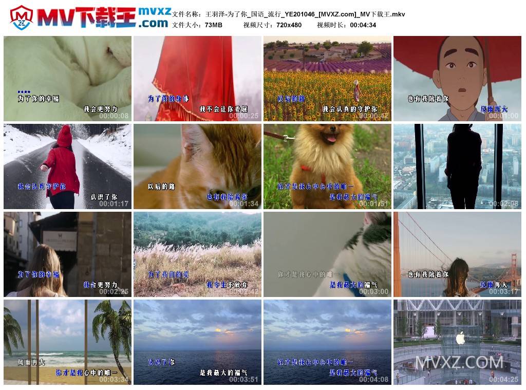 王羽泽-为了你_国语_流行_YE201046